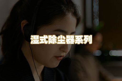 湿式除尘器系列