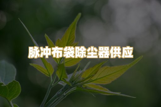 脉冲布袋除尘器供应